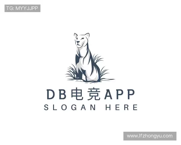解读DB电竞APP